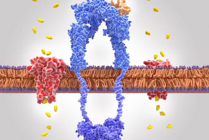 Insulinska rezistencija