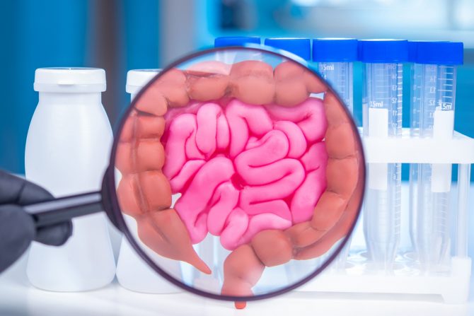 dijareja i povračanje