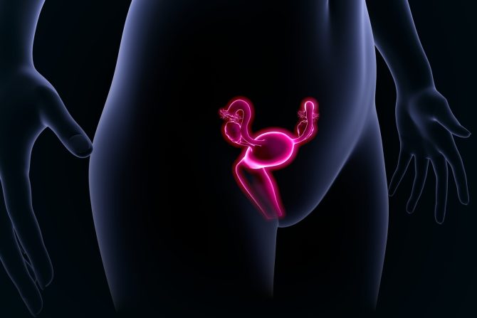 hronična upala grlića materice