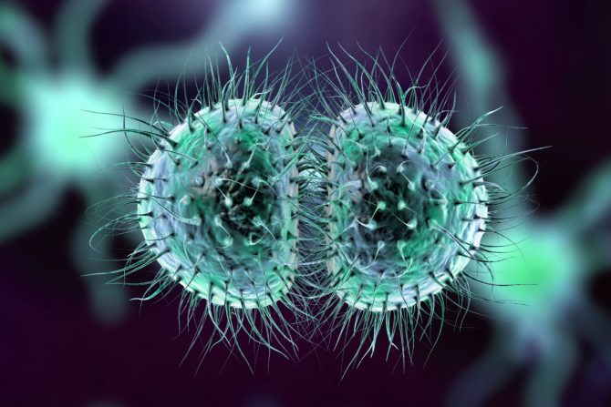 bakerijski meningits