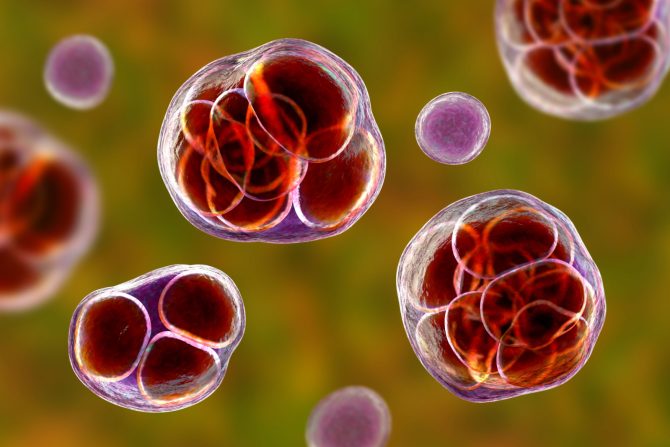 otečeni limfni čvorovi na vratu