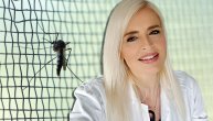 Groznica Zapadnog Nila: Nema razloga za paniku, ali neke grupe pacijenata su u većem riziku