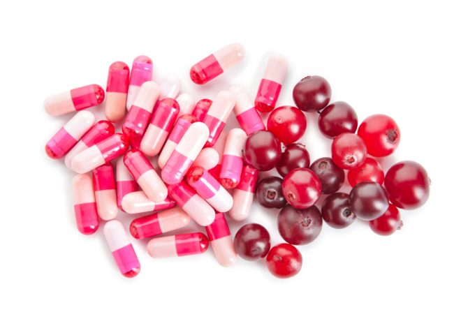 brusnica i suplementi od brusnice