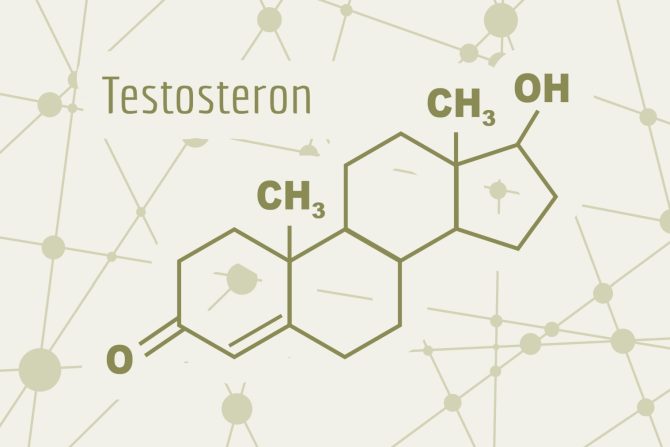 testosteron
