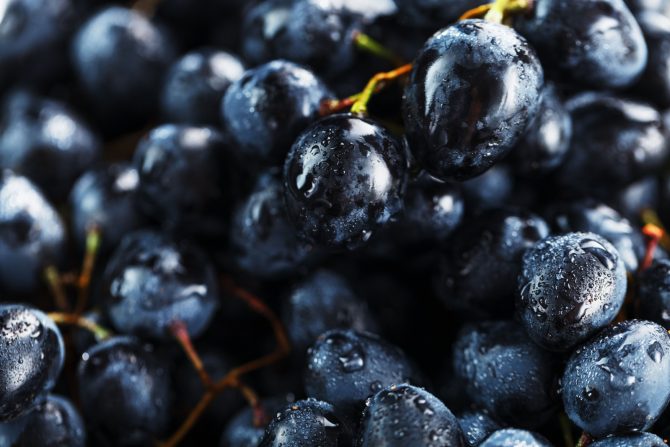 crno grožđe