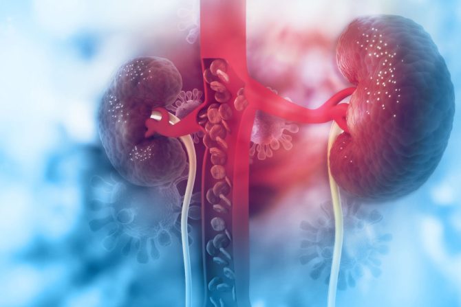 Život sa jednim bubregom