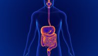 Poremećeno varenje može biti posledica malapsorpcije, zašto dolazi do ovog stanja