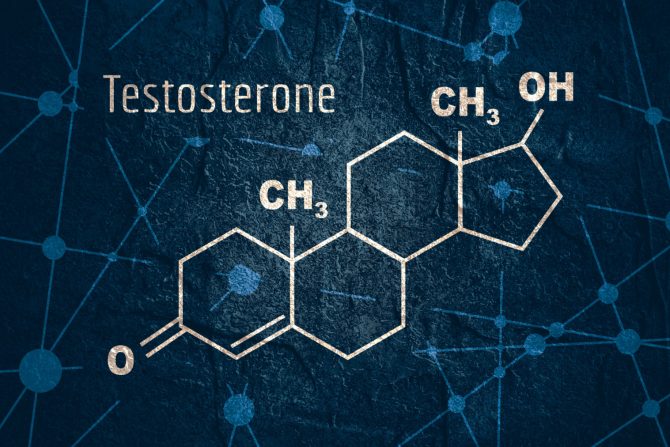 testosteron