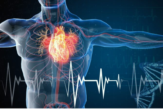 kardiovaskularne bolesti