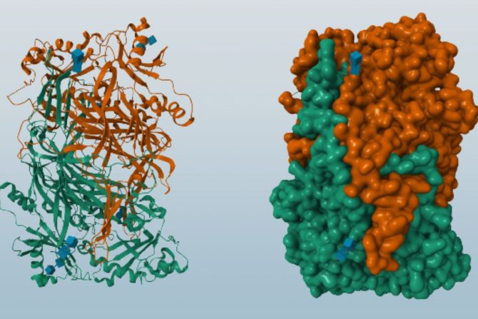 histamin diamin oksidaza