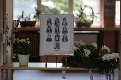 Foto: Nikola Tomić/Telegraf.rs