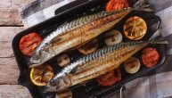 Za koja stanja je korisna skuša, riznica proteina i dobrih masnoća