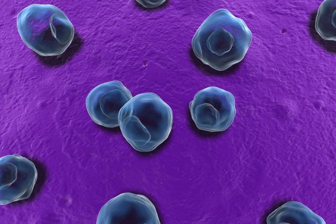 Seksualno prenosive infekcije