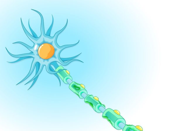 Nedostatak B12 vitamina