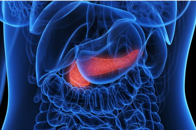 Pankreas