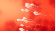 Krv u spermi – šta je hematospermija i da li je opasno stanje?