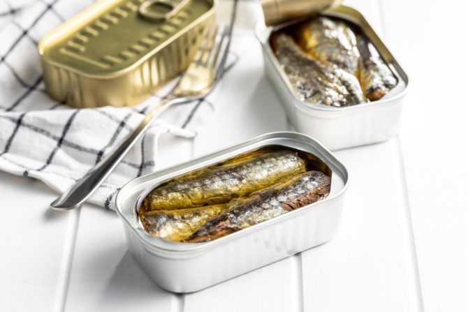 sardine