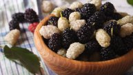 Dud ima malo kalorija, a dosta proteina i vode: Više od voćne grickalice koju „pokupimo“ u prolazu