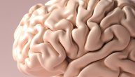Kada mogu da se uoče tihe promene na mozgu koje prethode Alchajmerovoj bolesti?