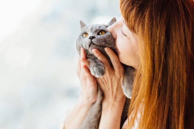 Kućni ljubimci ljubiti