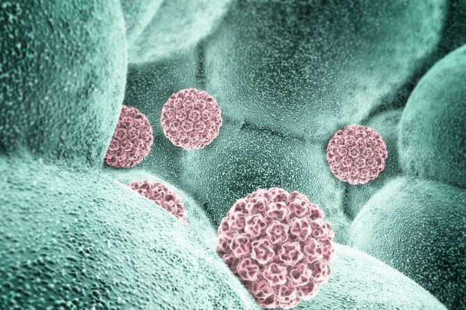 HPV virus karcinom grlića materice