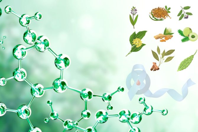 Sinergija prirode i nauke u lečenju dijabetesa