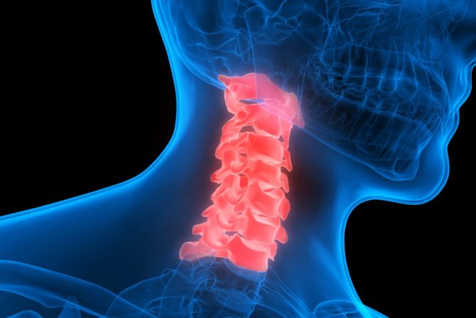 Vrat i vratna kičma