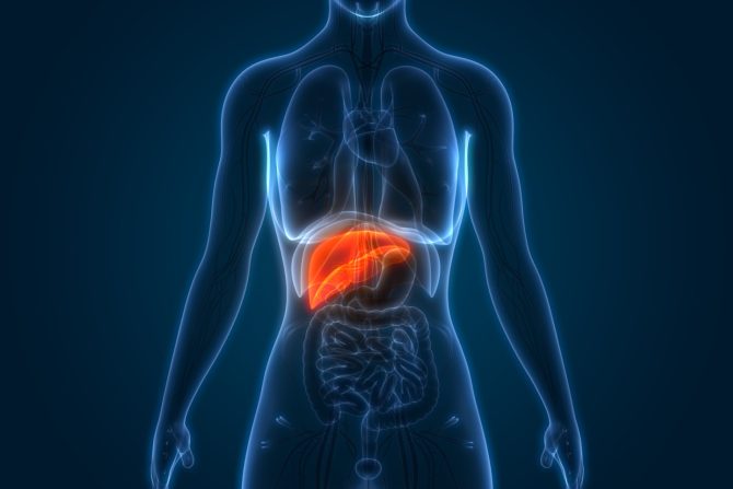 Hepatična encefalopatija