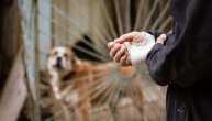 Kada ujed psa zahteva hitnu medicinsku pomoć