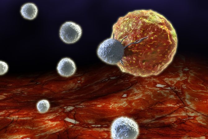 preživele rak dojke