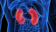 Bubrežna insuficijencija: Postoji li mogućnost povratka funkcije bubrega nakon otkazivanja