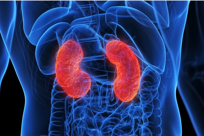 bubrežna insuficijencija