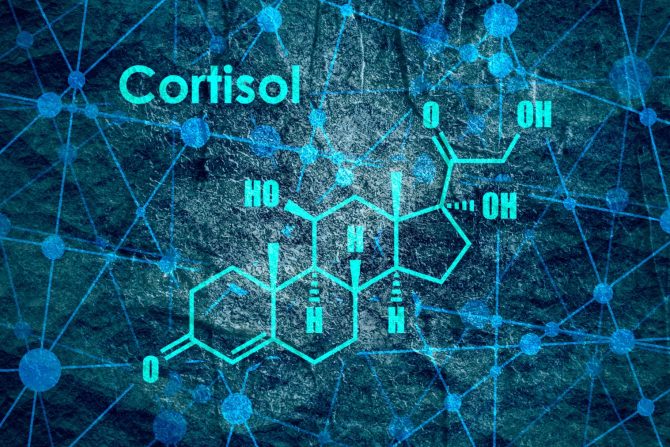 kortizol