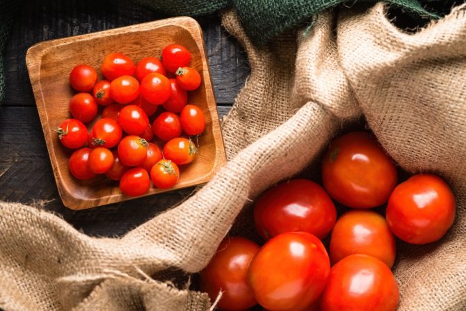 čeri paradajz i običan paradajz