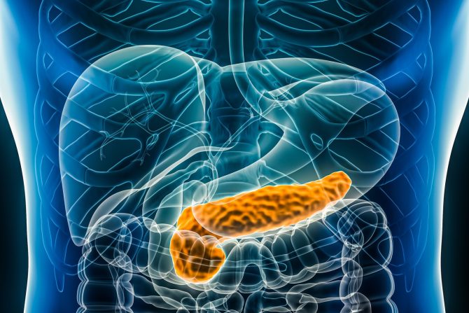 Pankreas