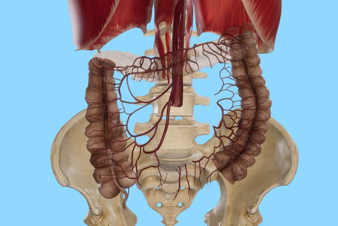 Mezenterična ishemija