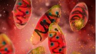 Kuga je krivac za smrt 50 miliona ljudi u Evropi: Preti li nam i danas ova bolest