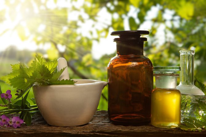 biljke protiv komaraca