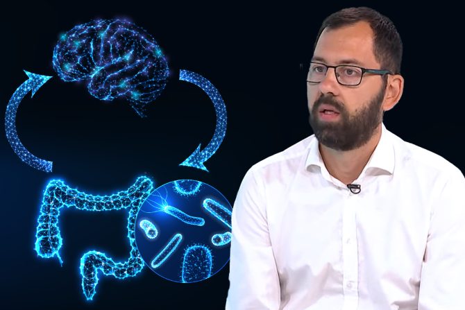 Creva i mozak Rajaković