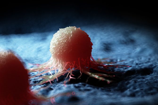 porast obolelih od raka