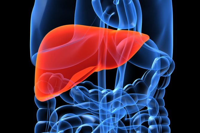 prognoza za rak jetre