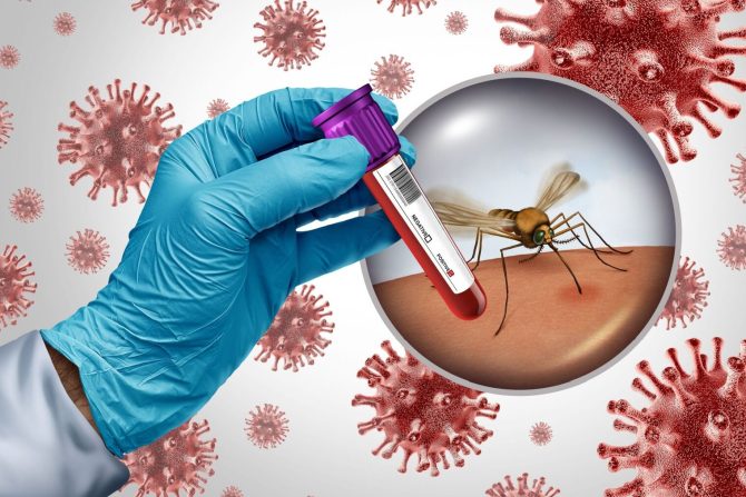 Groznica zapadnog nila