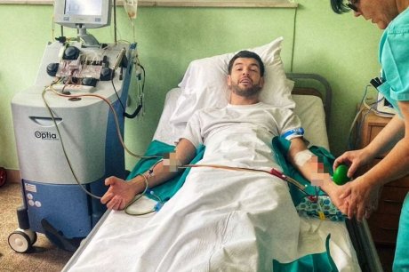 Stevan Piale matične ćelije