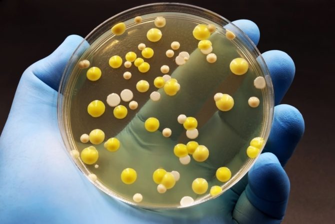 infekcija otpornih na antibiotike