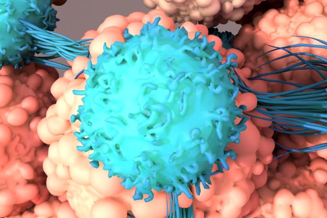 CART-T ćelijska terapija