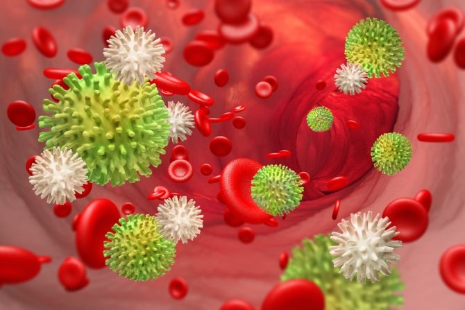 Leukocitarna formula