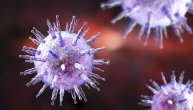 Epštajn-Bar virus ne izaziva samo mononukleozu: Naučnici ga povezuju i sa ovih 7 ozbiljnih bolesti