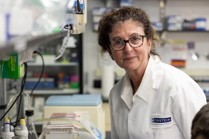 DNK u procesu pamćenja