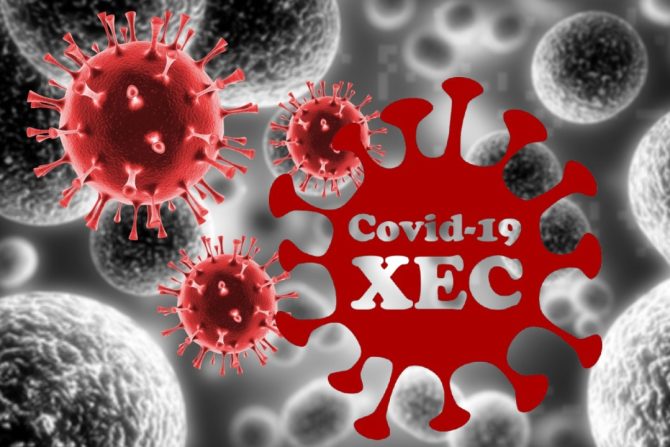 xec varijanta korona virusa