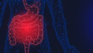Zašto multipla skleroza, fibromijalgija i druge neuromišićne autoimune bolesti izazivaju probleme u radu creva